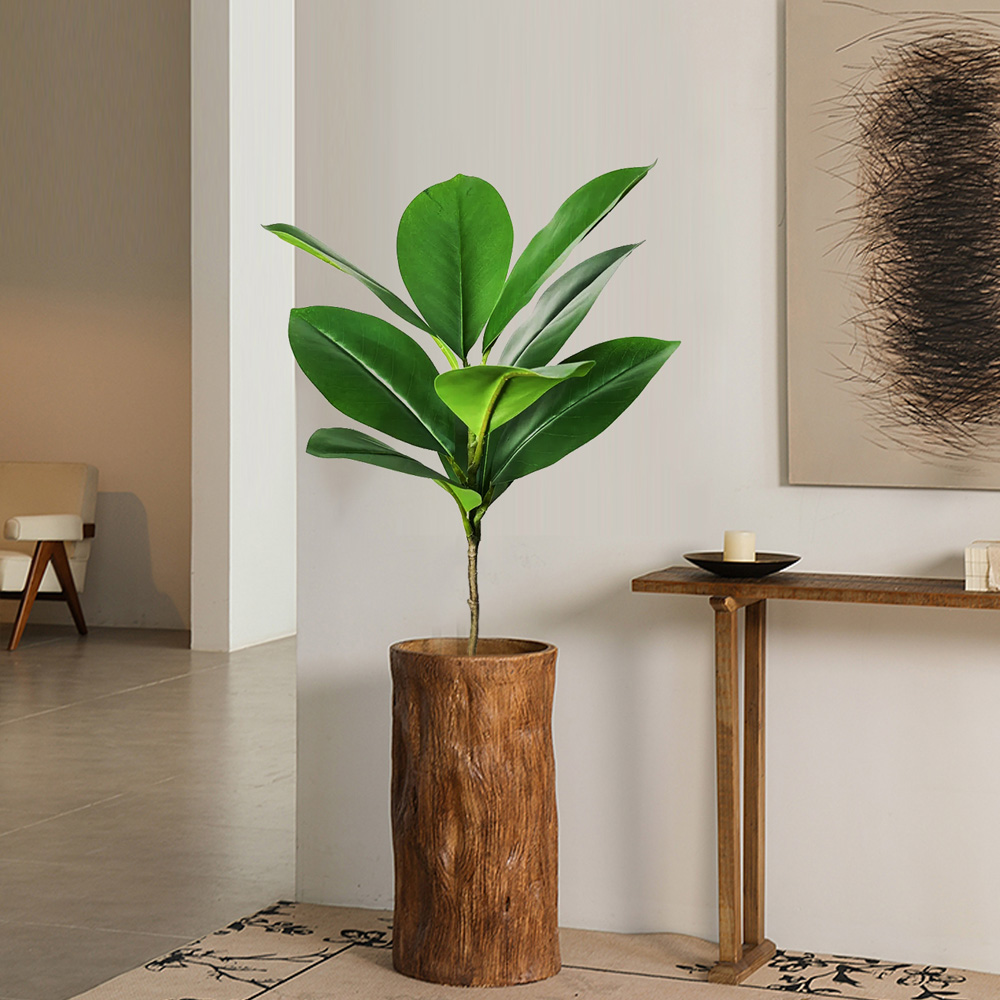 74-140 سنتيمتر شجرة اللبخ الاص - مراجعة Ficus Lyrata Tree وسعره
