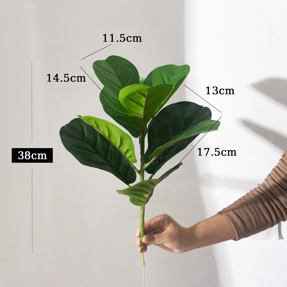 38 سنتيمتر 9 الشوك نباتات اللب - مراجعة Ficus Lyrata Tree وسعره