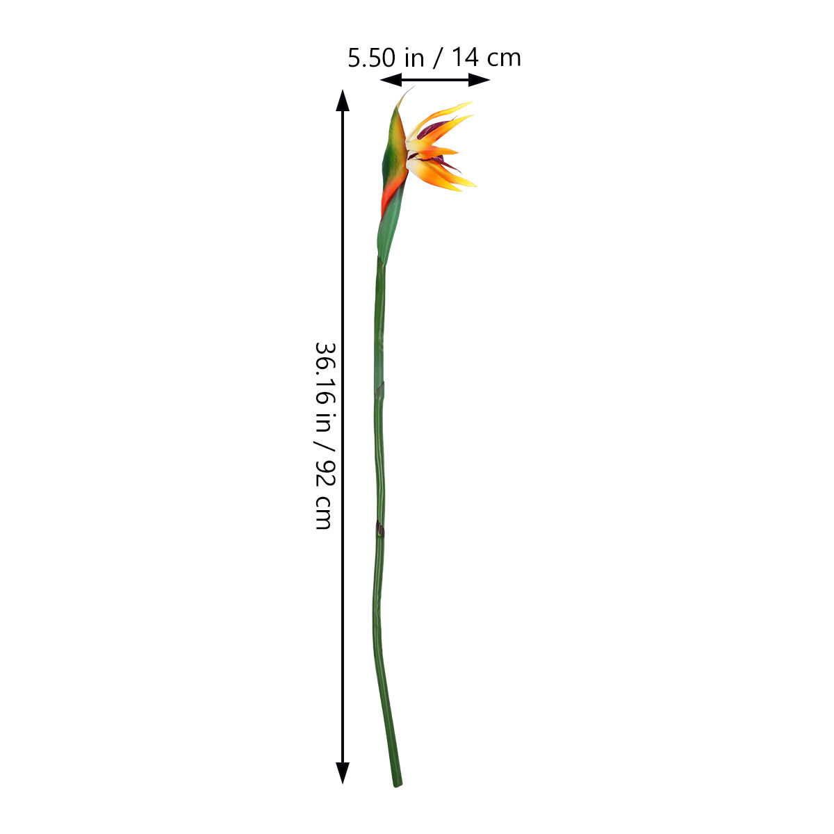 زهرة ستريليتزيا اصطناعية، زهرة - مراجعة Bird Paradise Strelitzia وسعره