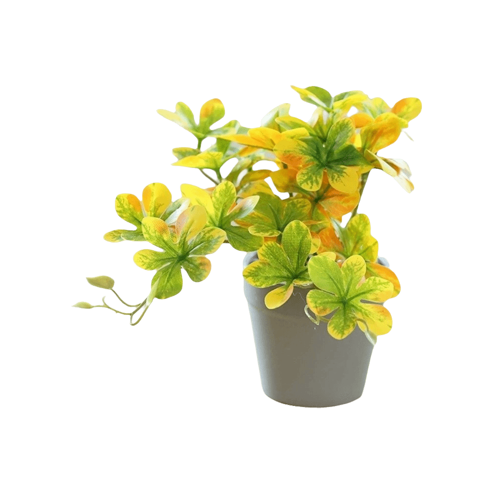 نبات بونساي اصطناعي، نبات عنكب - مراجعة Spider Plant Hanging وسعره
