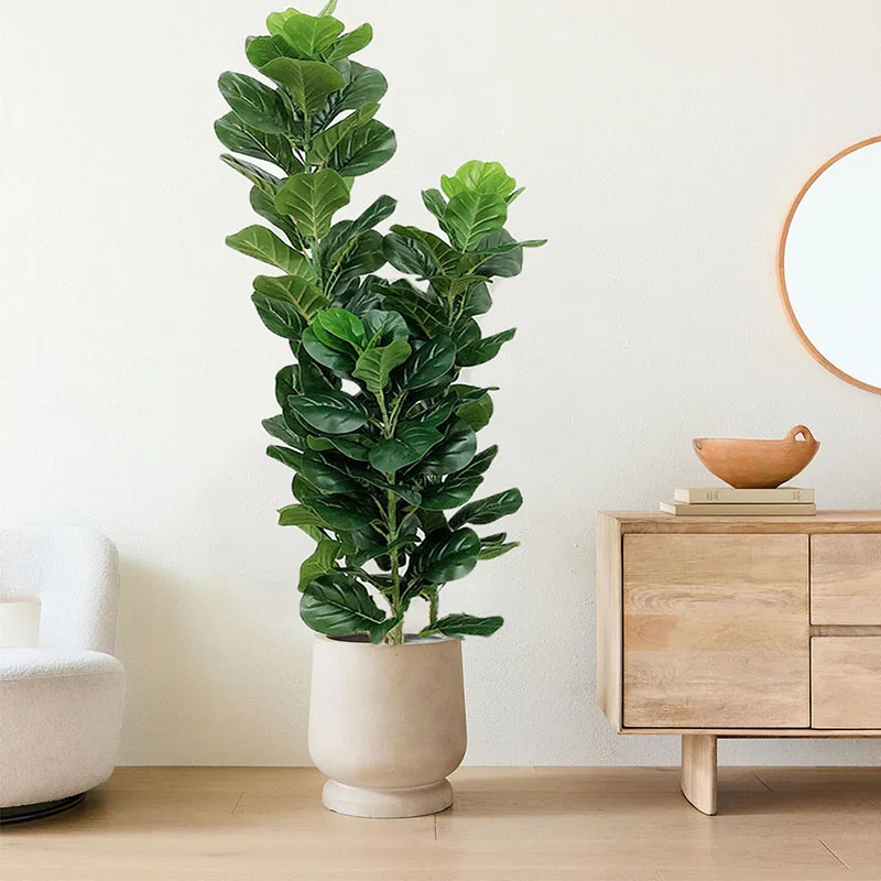 نبات فيكس ليراتا صناعي كبير ال - مراجعة Ficus Lyrata Tree وسعره