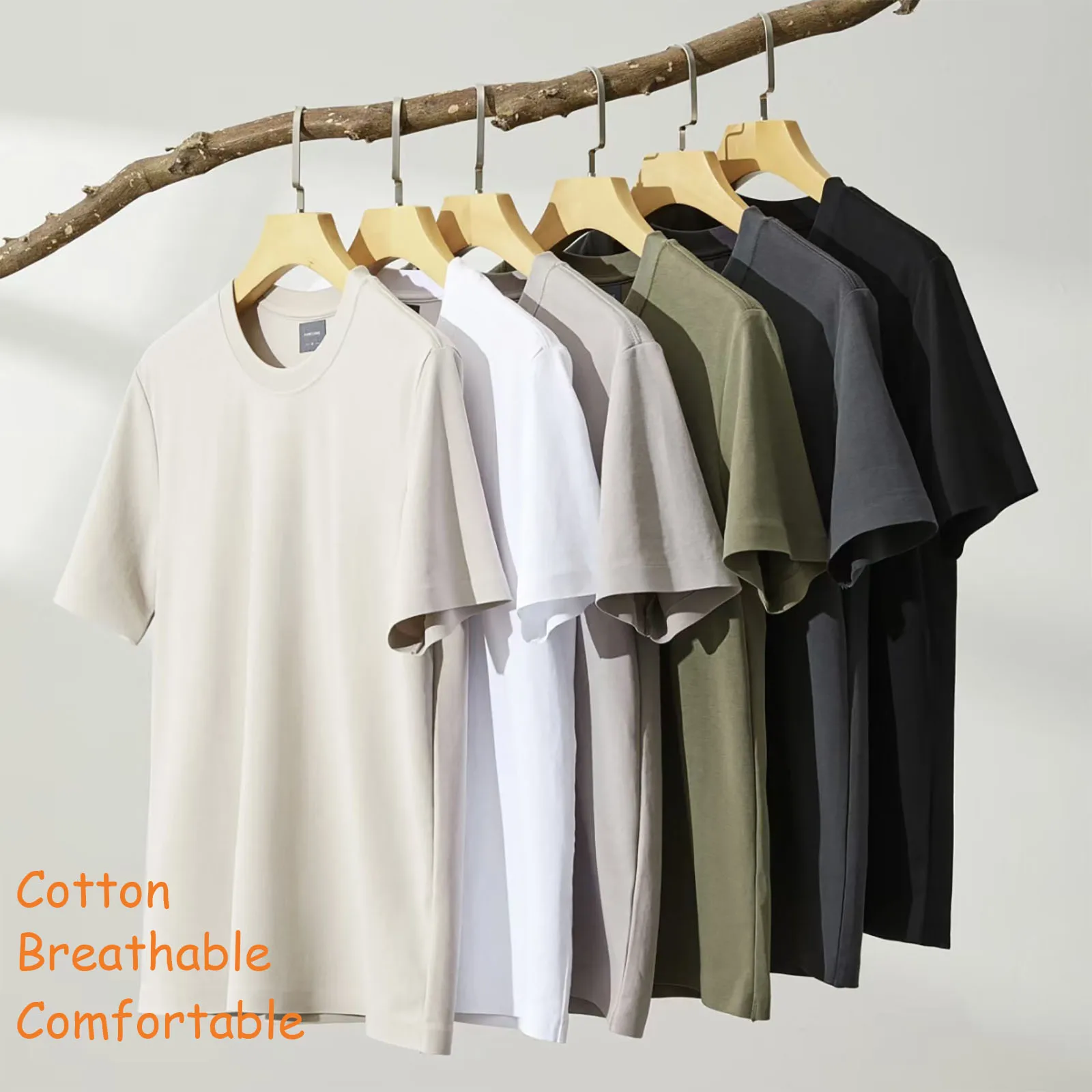نادر المائل ثانية الرعب من حزب - مراجعة Monstera Adansonii وسعره