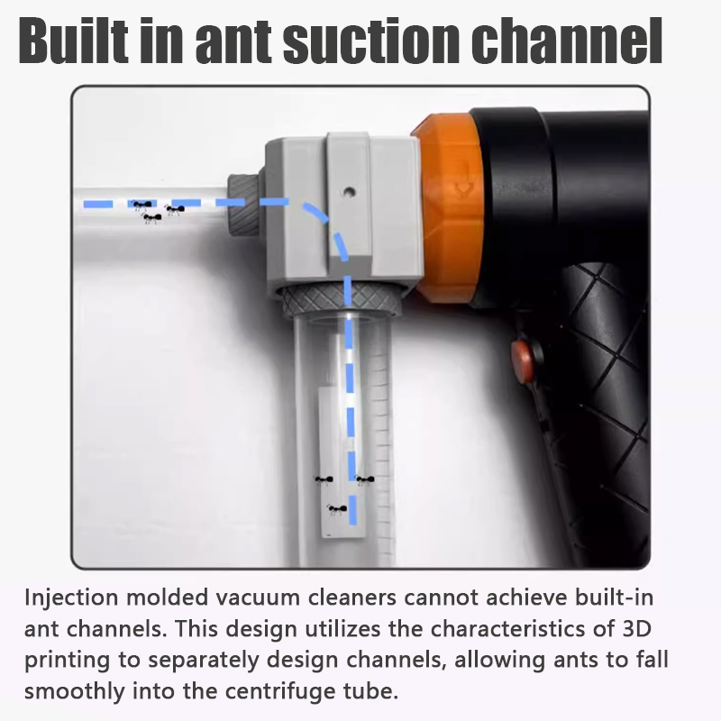 أداة جمع مزرعة النمل النمل مكن - مراجعة Begonia Rex وسعره